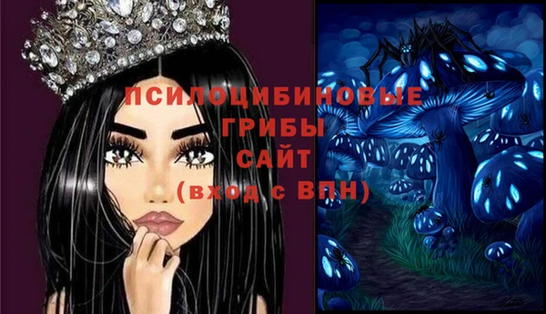 амф Зеленодольск