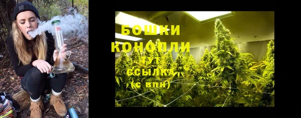 амф Зеленодольск